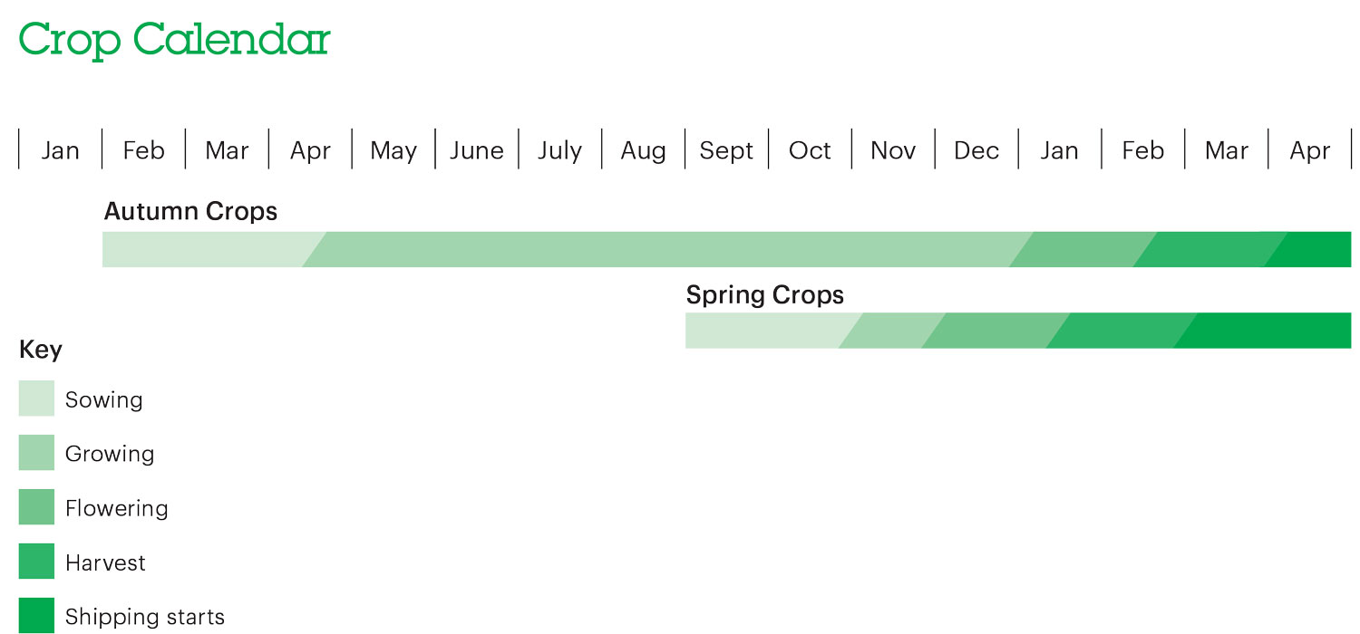 Midlands Seed Crop Calendar